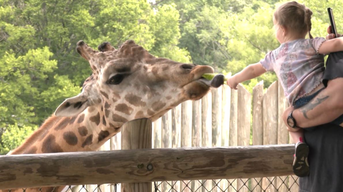 Caldwell Zoo offers animal encounters