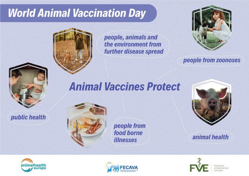Highlighting the importance of vaccines for animal and human health