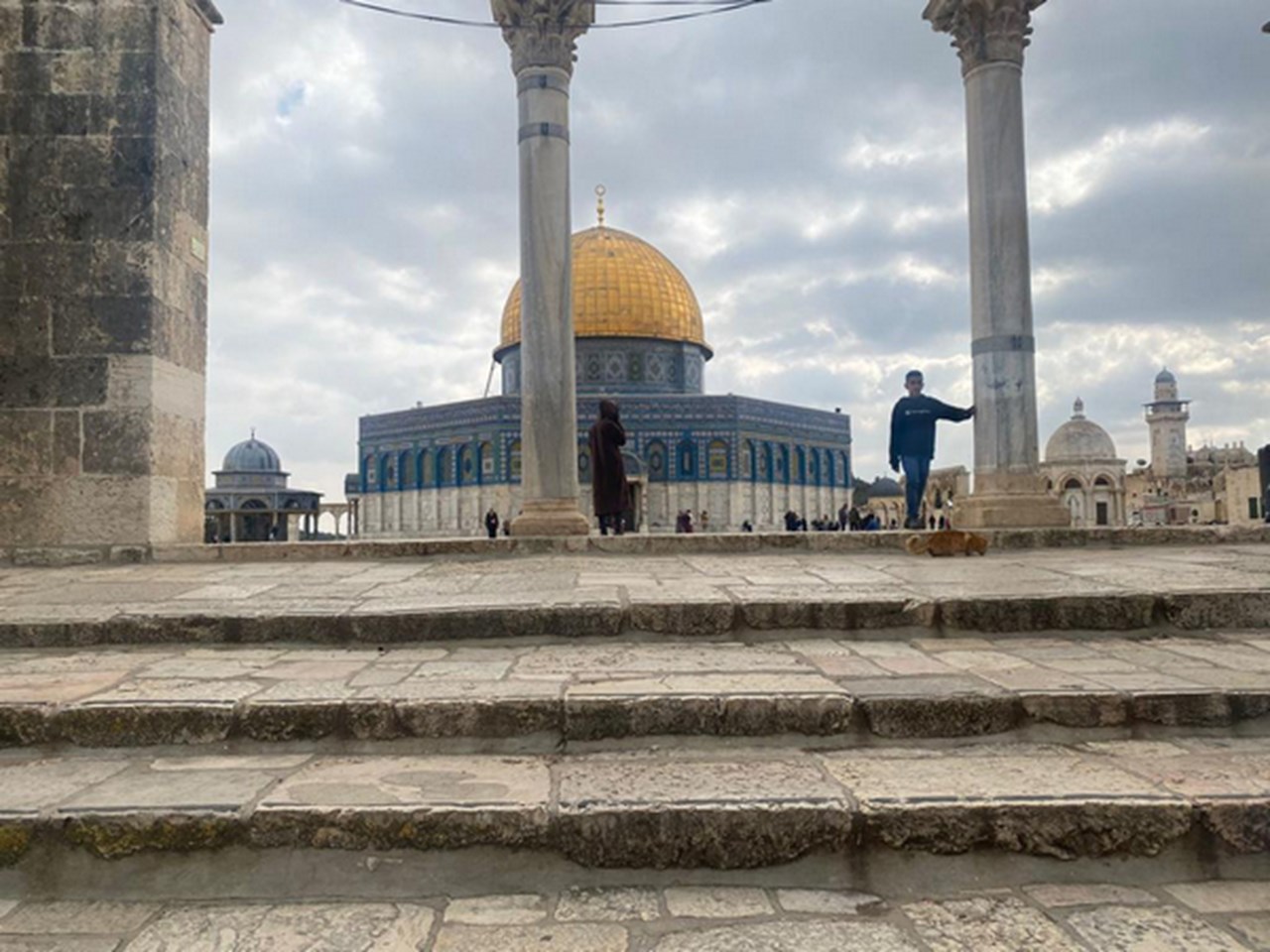 2 Israelis arrested for trying to offer animal sacrifice on Temple Mount