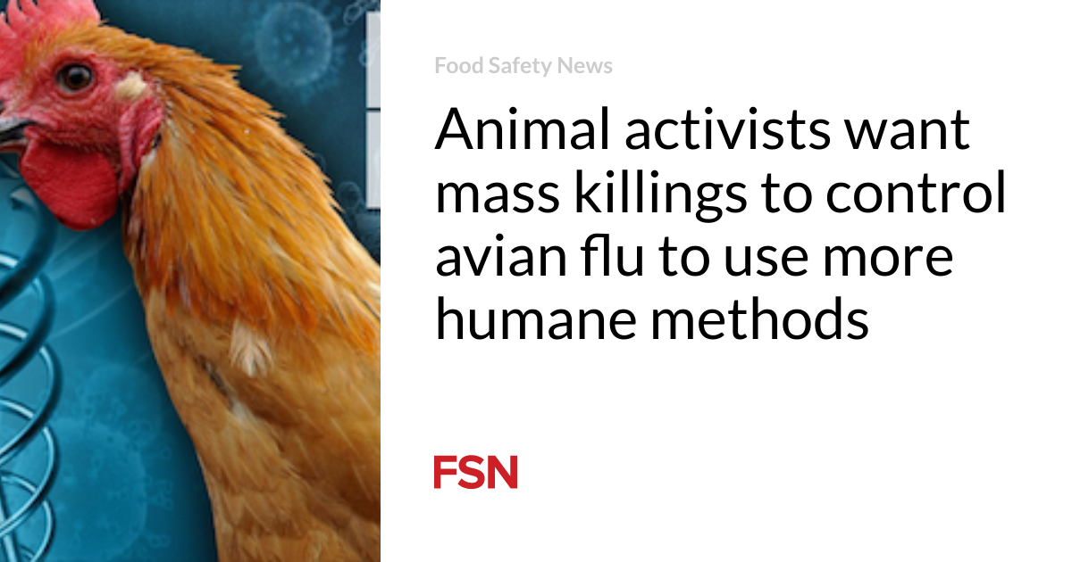 Animal activists want mass killings to control avian flu to use more humane methods