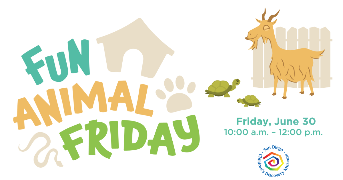 Fun Animal Friday: Goat & Tortoises