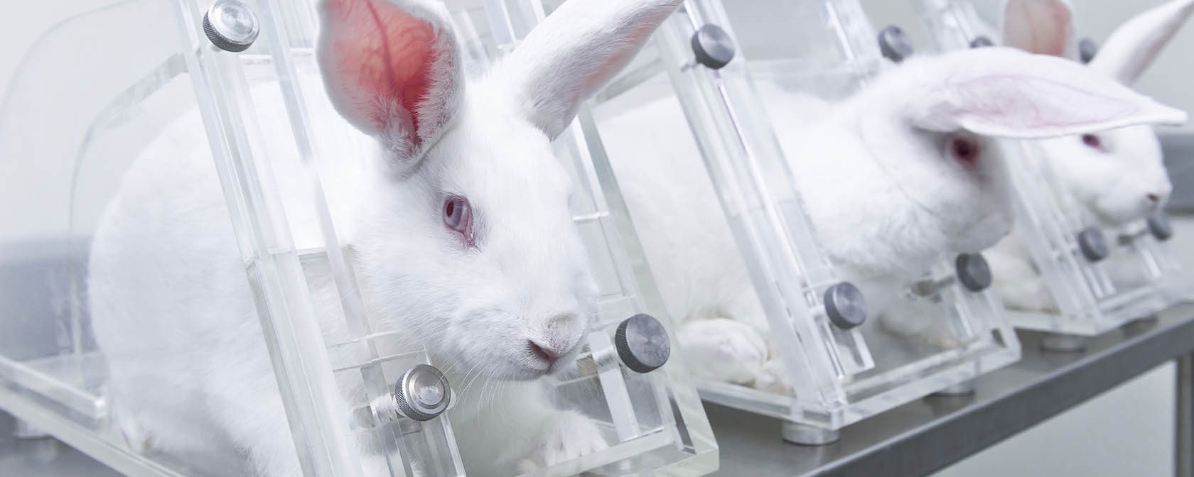 Major win: Canada just banned cosmetics animal testing and trade