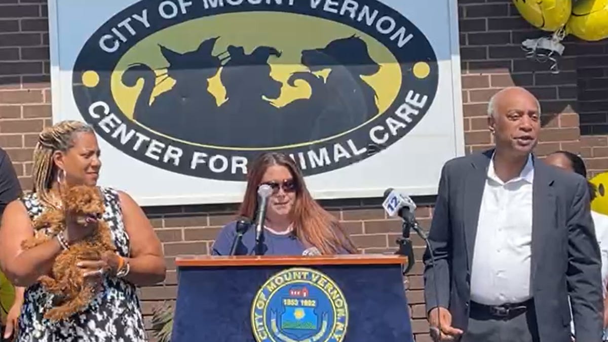 Mount Vernon Animal Shelter to reopen thanks to $1 million in state aid