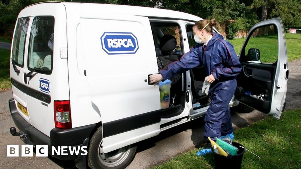 RSPCA push revival of dropped animal welfare bill