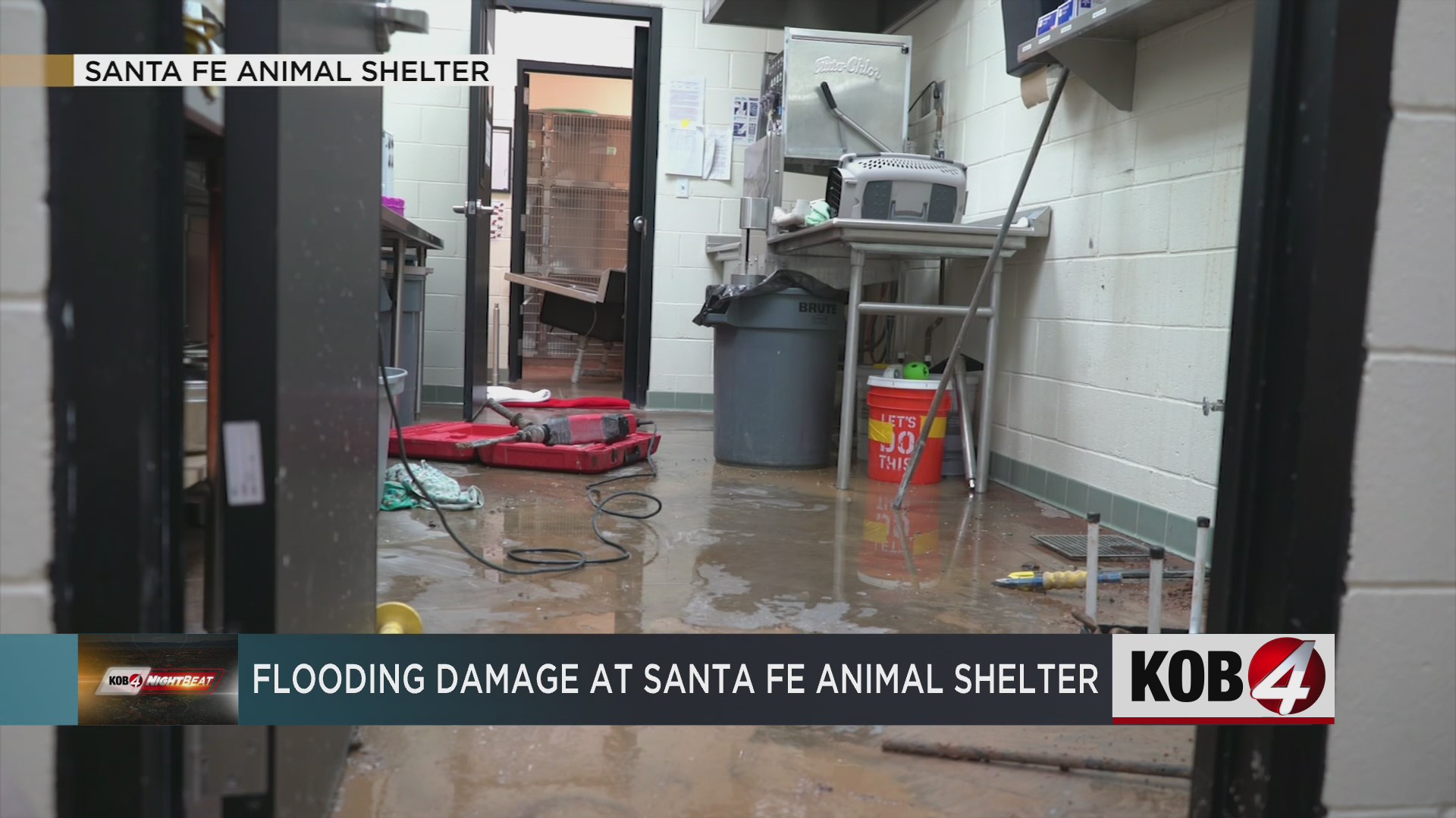 Dogs, cats displaced after flooding damage at Santa Fe Animal Shelter