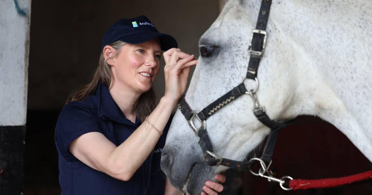 ‘I practise animal acupuncture. Yes, of course people are sceptical’ – The Irish Times