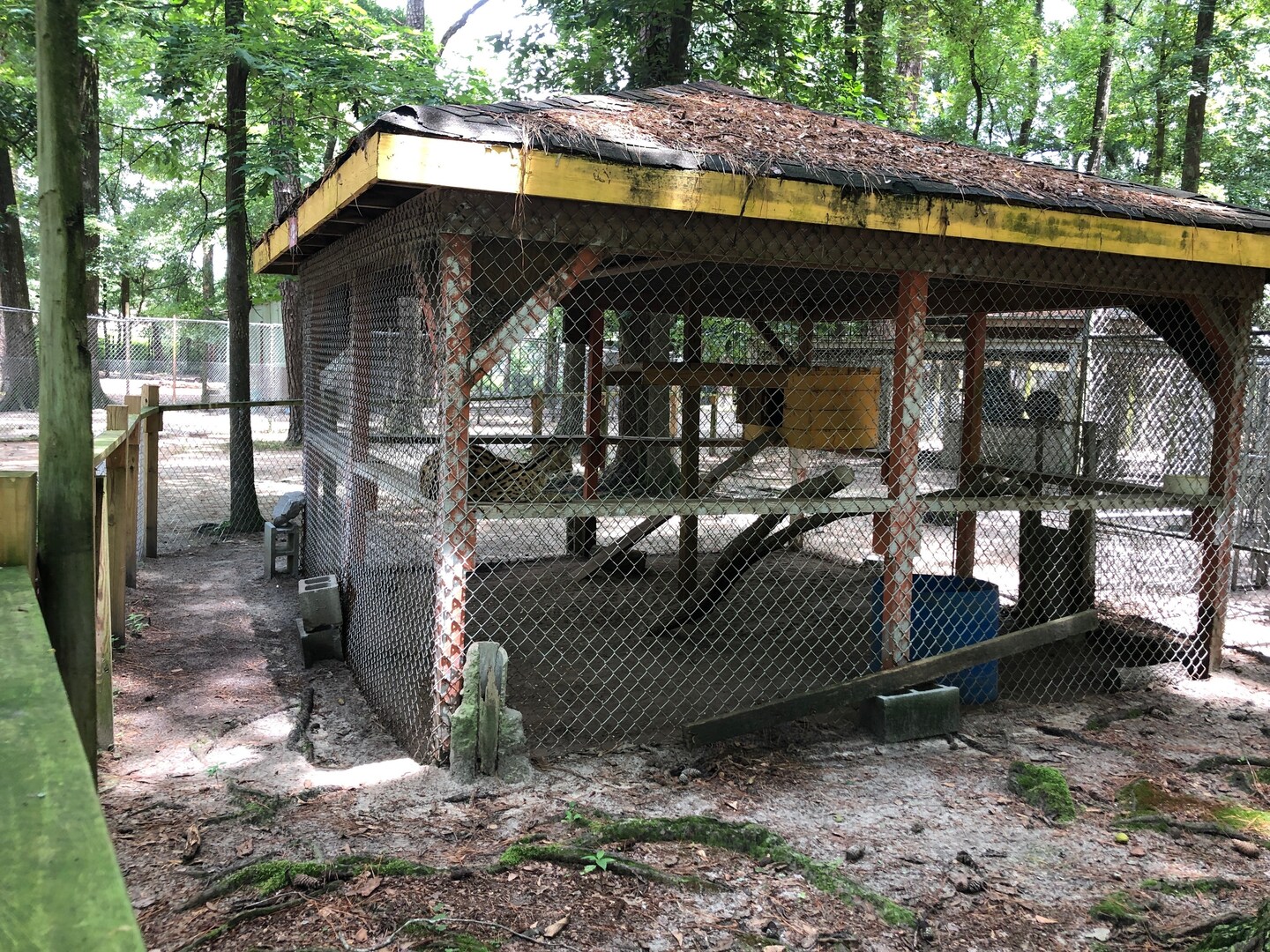 ‘Worst roadside zoo in the country’ closed for good after PETA lawsuit