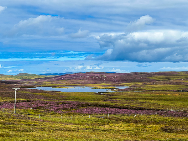 A Small Excursion | My Shetland