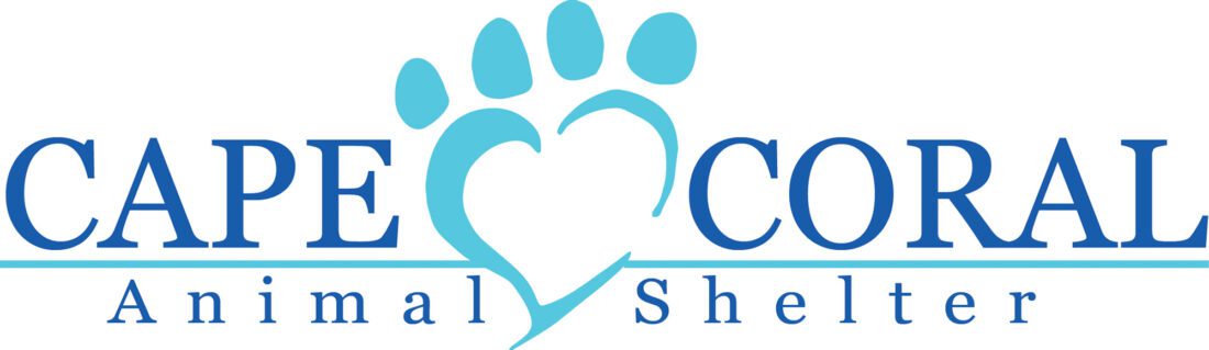 Cape Coral Animal Shelter: Looking for a loving home – 8/11/23 | News, Sports, Jobs