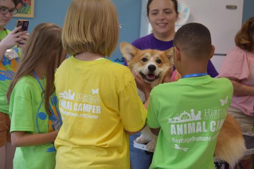 Furry Friends Feature: Local Children Make Animal Camp 2023 a Major Success