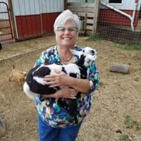 Memorial fund set up to honor local animal lover | Local News