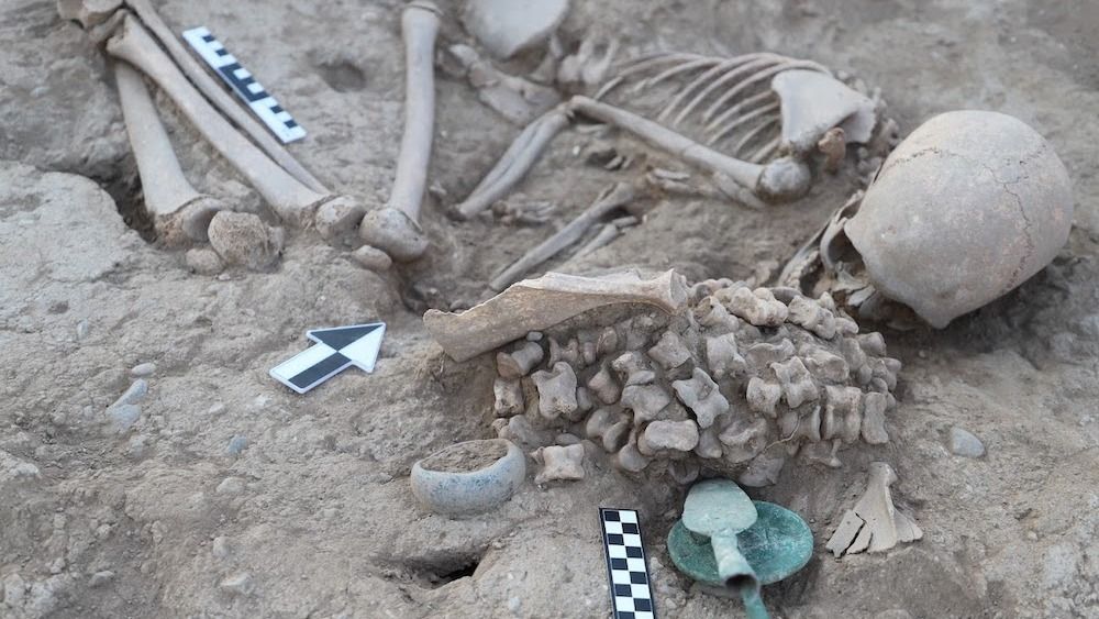 Bronze Age girl buried with more than 150 animal ankle bones, potentially to help her to the next world