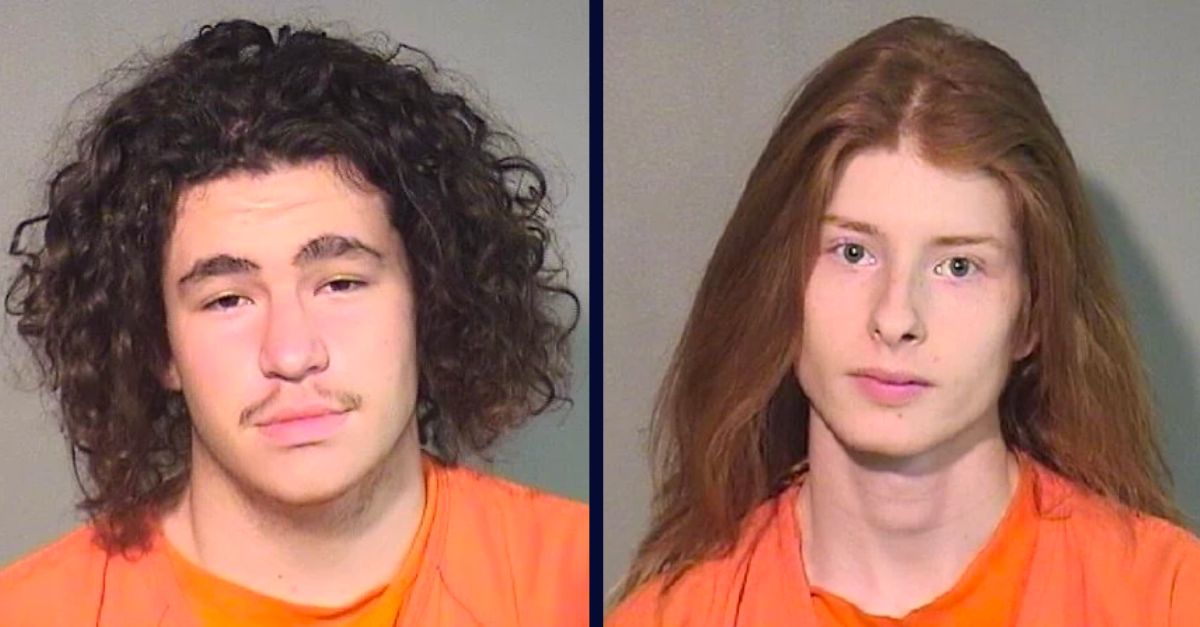 Daniel Carey and Nathan Weber sentenced for animal cruelty