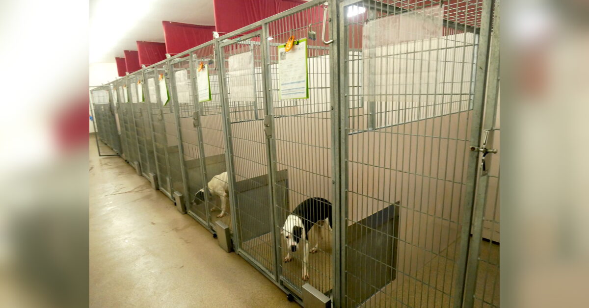 Franklin County addresses animal shelter staff shortage