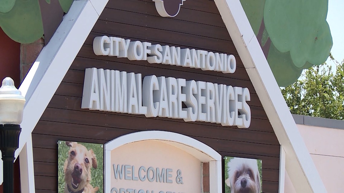 If passed, city budget would increase funding for Animal Care Services amid concern over dog bites