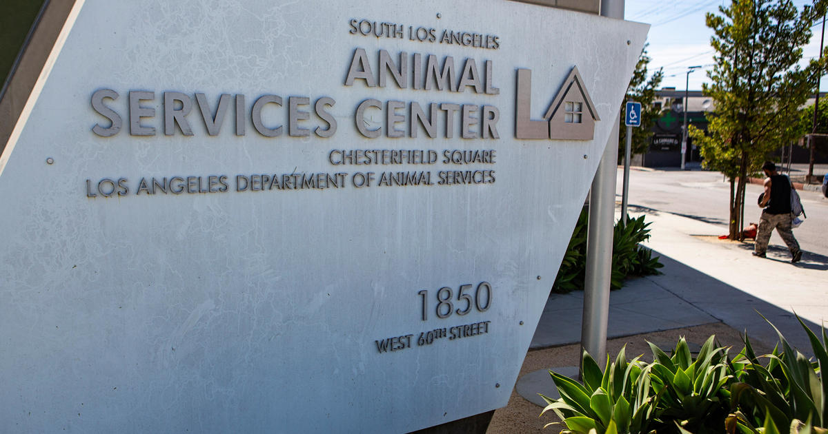 LA City councilmembers call for moratorium on new breeding permits