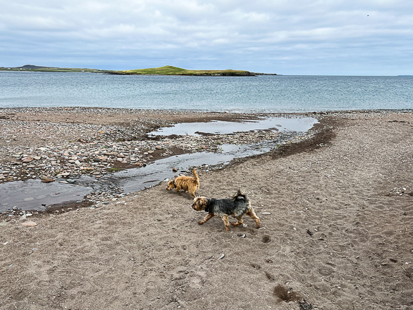 To The Beach | My Shetland