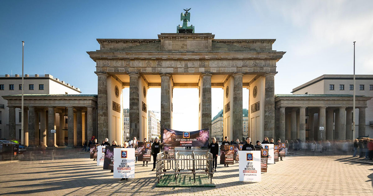 ALDI Faces Global Backlash After Berlin Protest Exposes Animal Cruelty