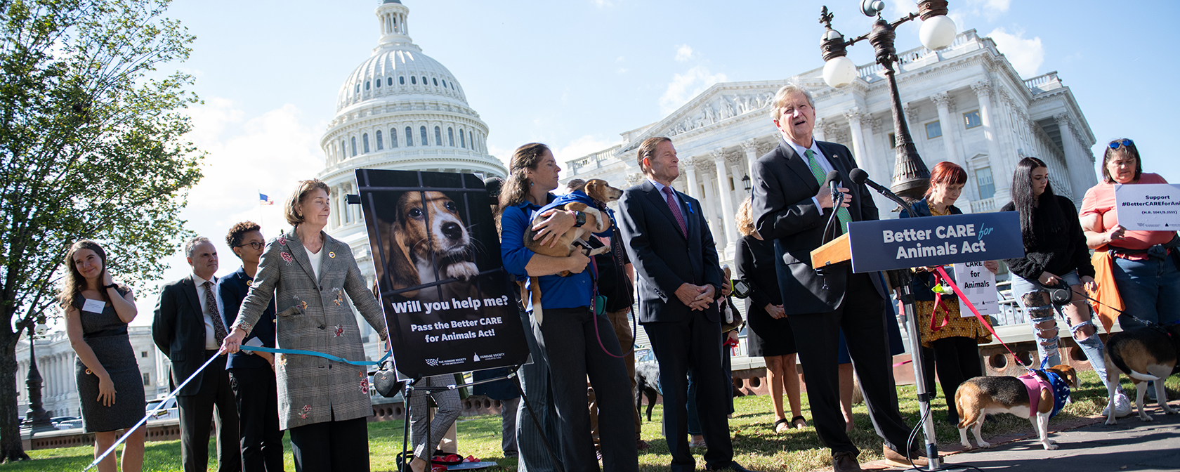 Beagles arrive on Capitol Hill in support of Better CARE for Animals Act