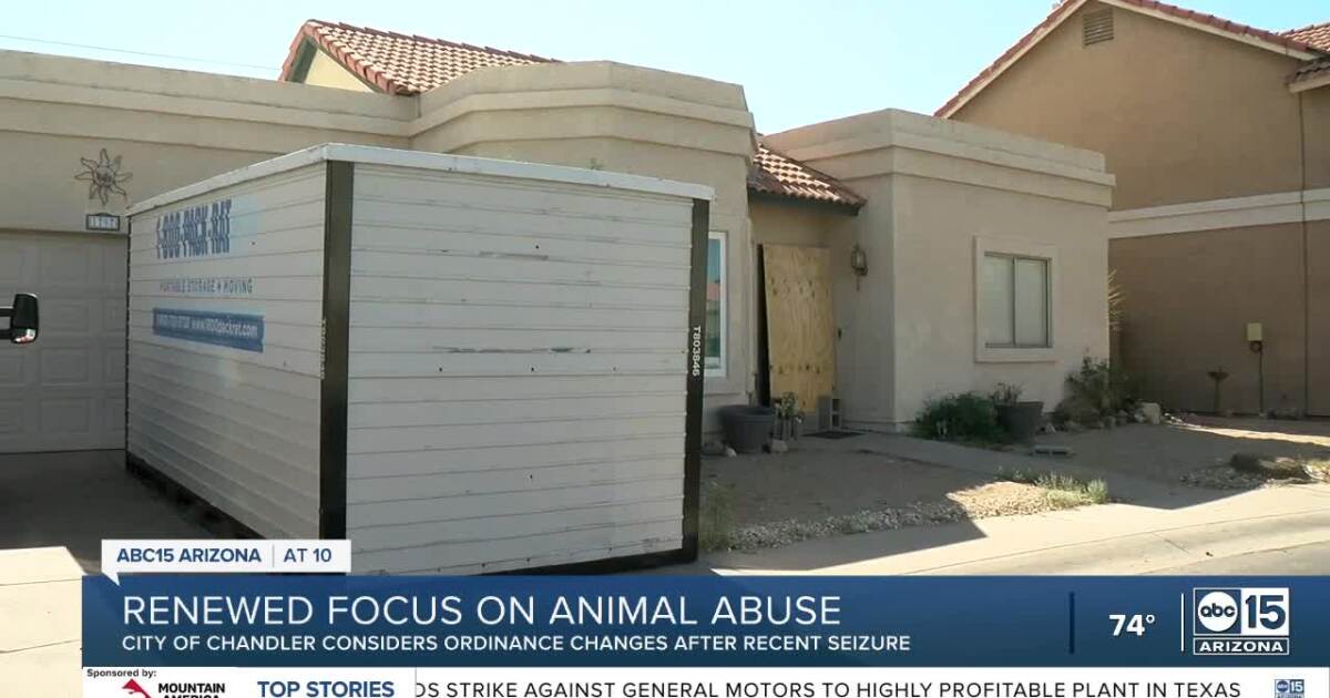 Chandler to consider changes to city code around animal cruelty