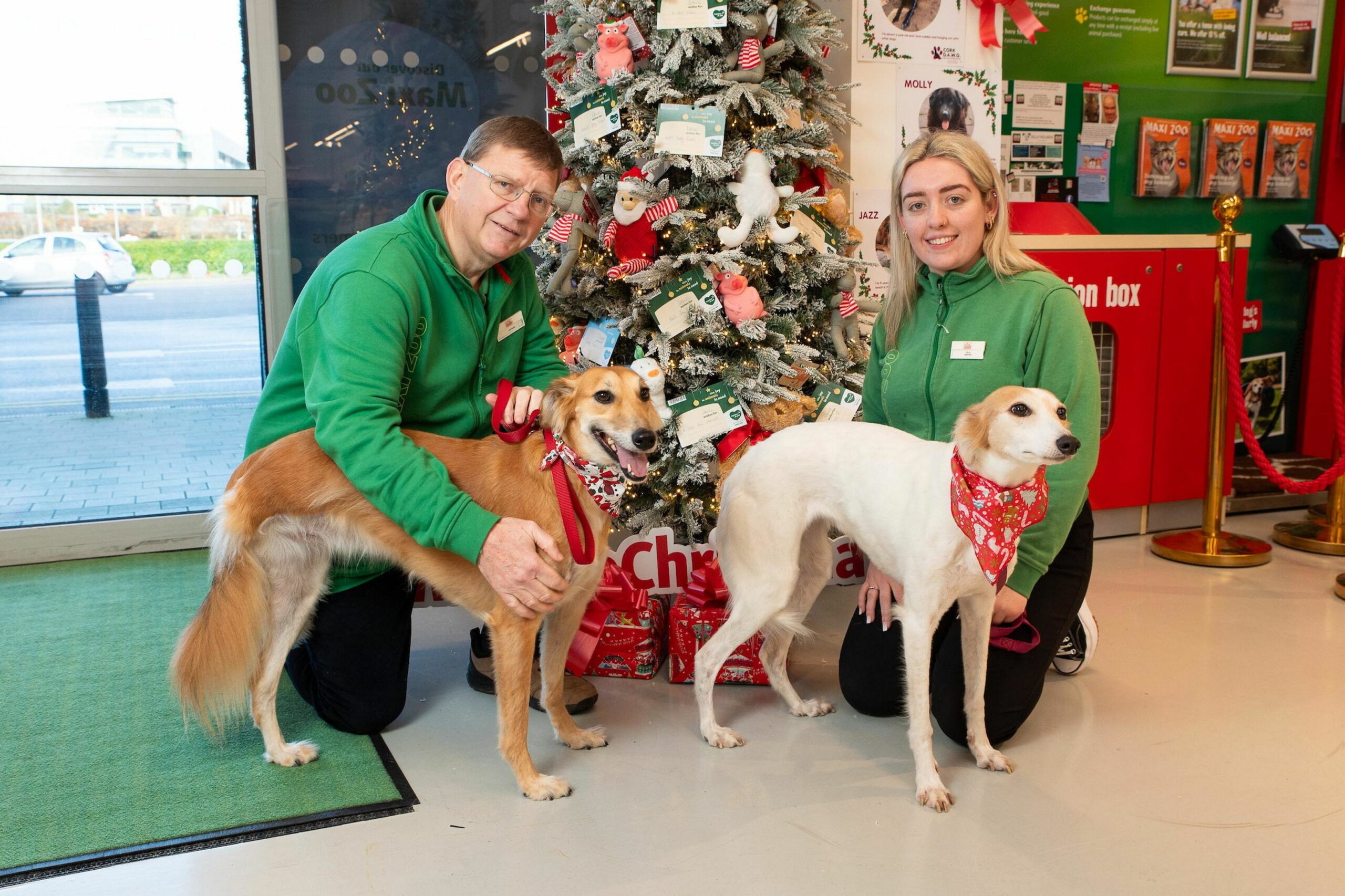 Maxi Zoo’s Christmas campaign to help Wicklow animal charity