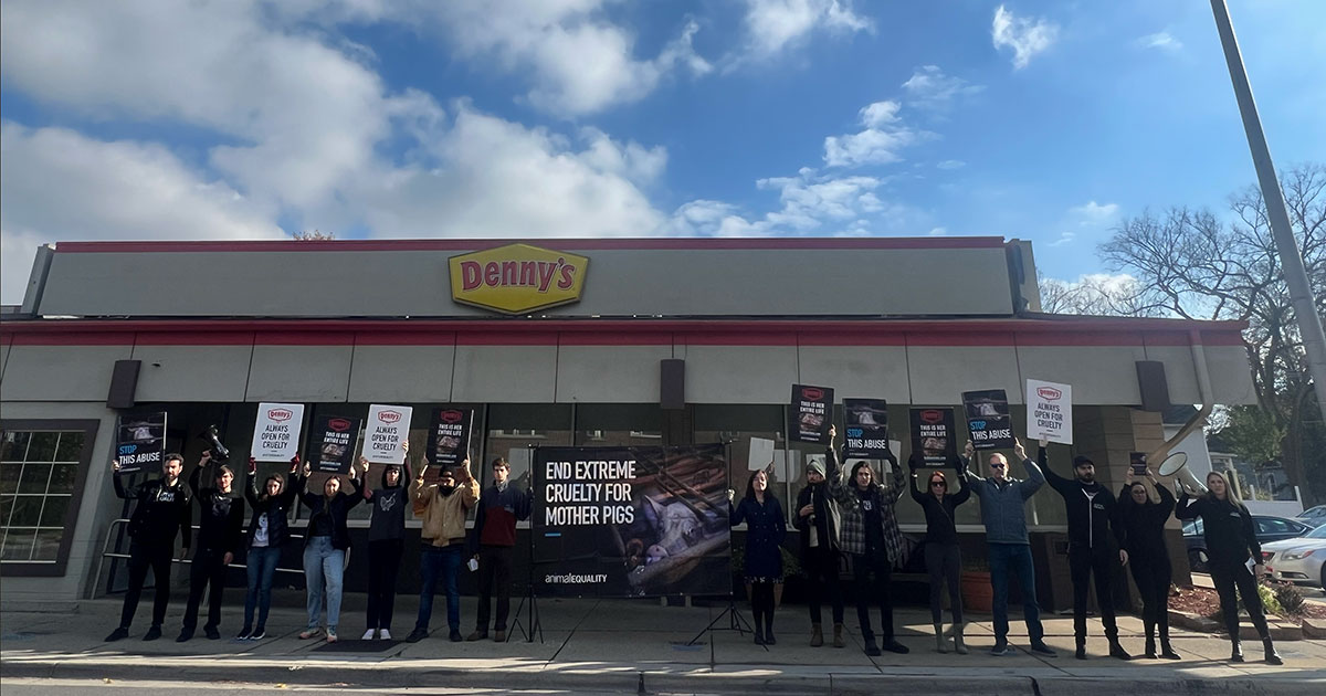 Protesting Denny’s Cruelty: Chicago’s Weekend of Actions