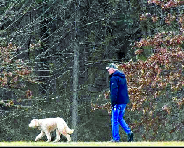 Sunday dog walk to benefit Perry County animal rescue | News, Sports, Jobs