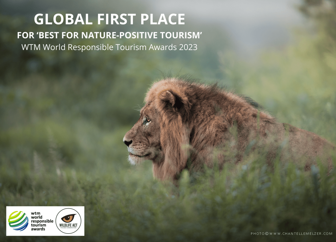 Wildlife ACT Takes First Prize at WTM World Responsible Tourism Awards 2023