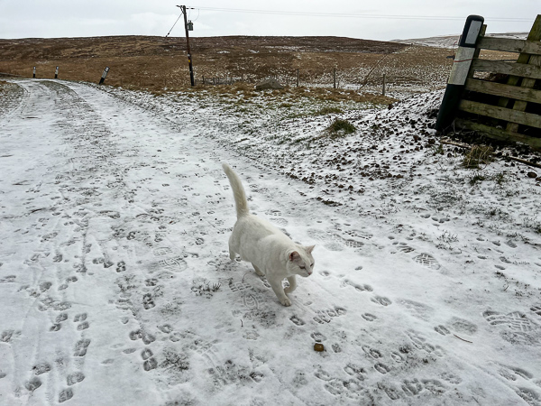 A Winter Walk | My Shetland