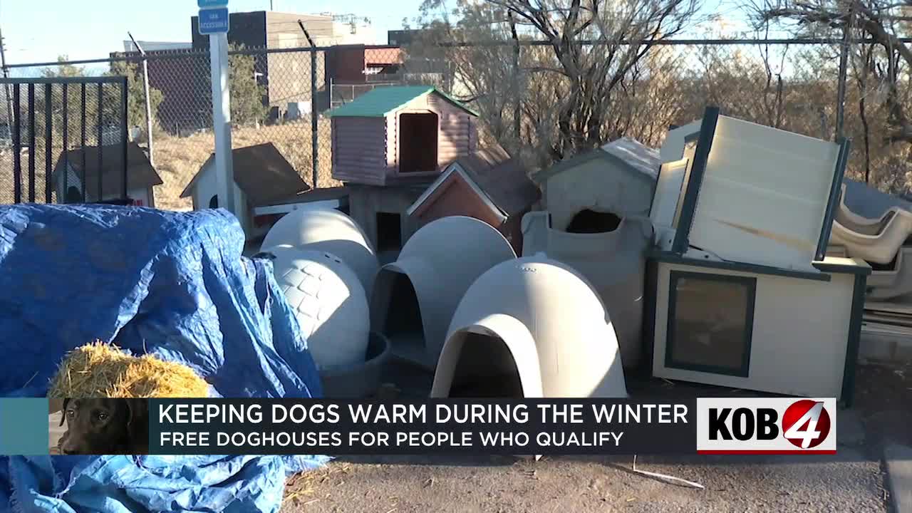 Albuquerque Animal Welfare collects dog houses to help keep animals warm