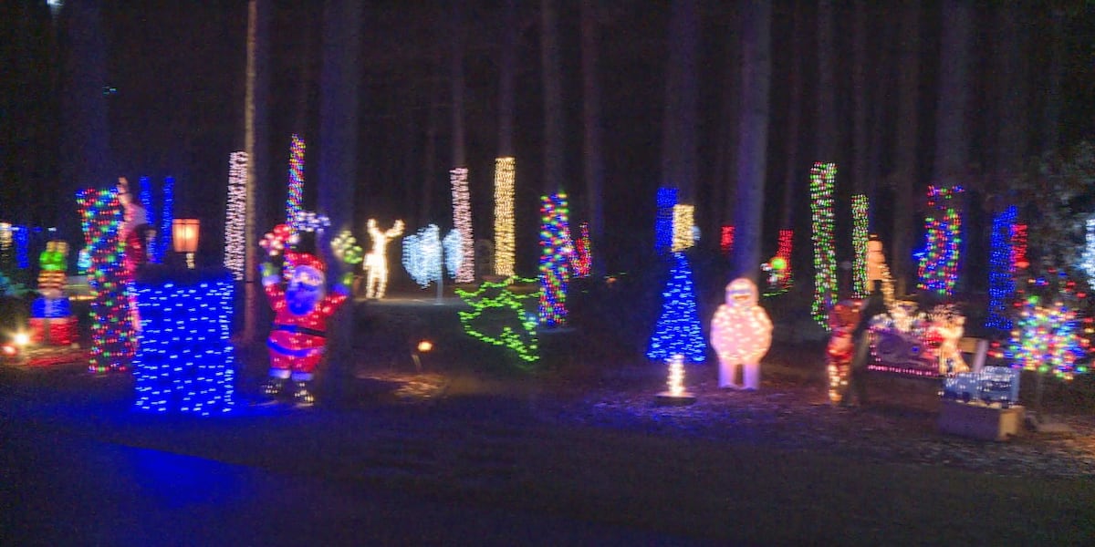 Plainfield family puts on spectacular light display to support local animal shelter