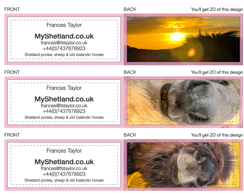 Designing Mini Business Cards | My Shetland