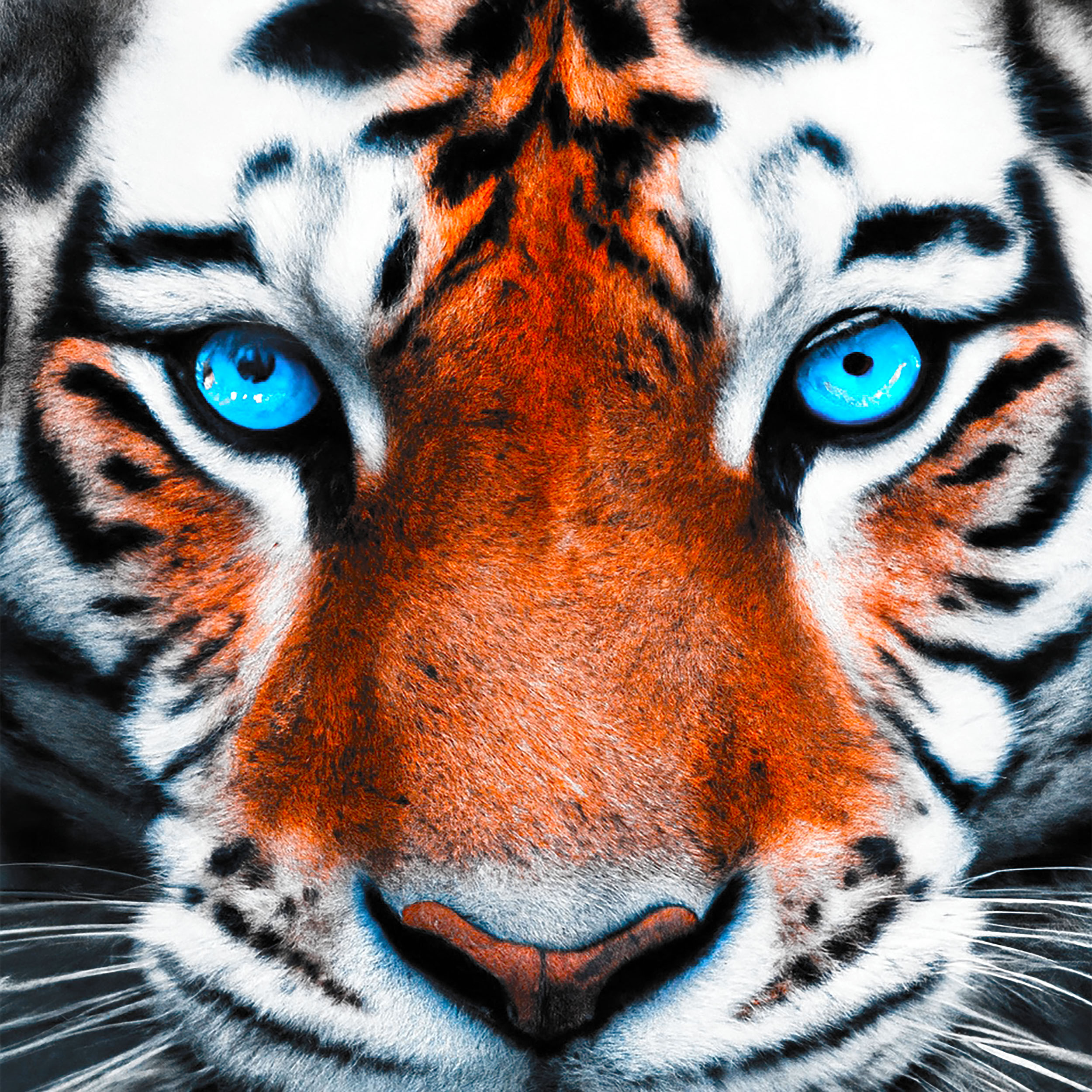 New camera takes photos using the same colors animals can see • Earth.com