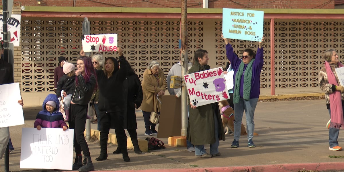 Protestors demand accountability after multiple dogs found dead at Marlin animal shelter