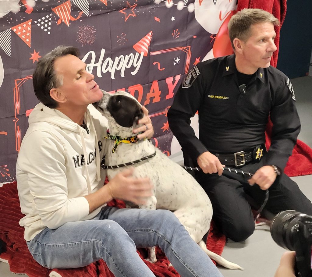 Pups celebrate 1st birthday at Macomb County Animal Control – Macomb Daily