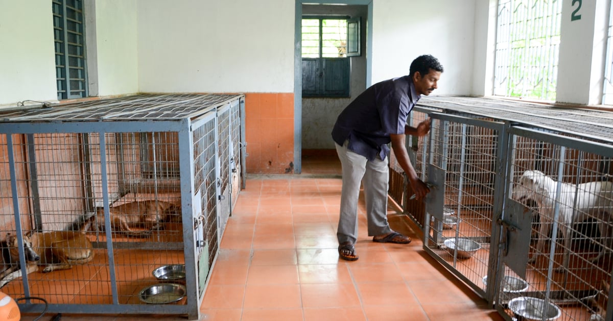 Budget decision on six more animal birth control centres a publicity stunt, say Tiruchy residents