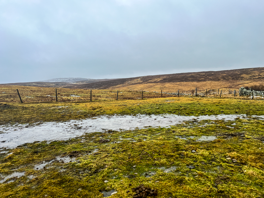 From Snow to Mud! | My Shetland