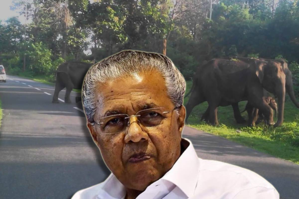 Kerala CM calls emergency meeting in Wayanad to address man-animal conflict