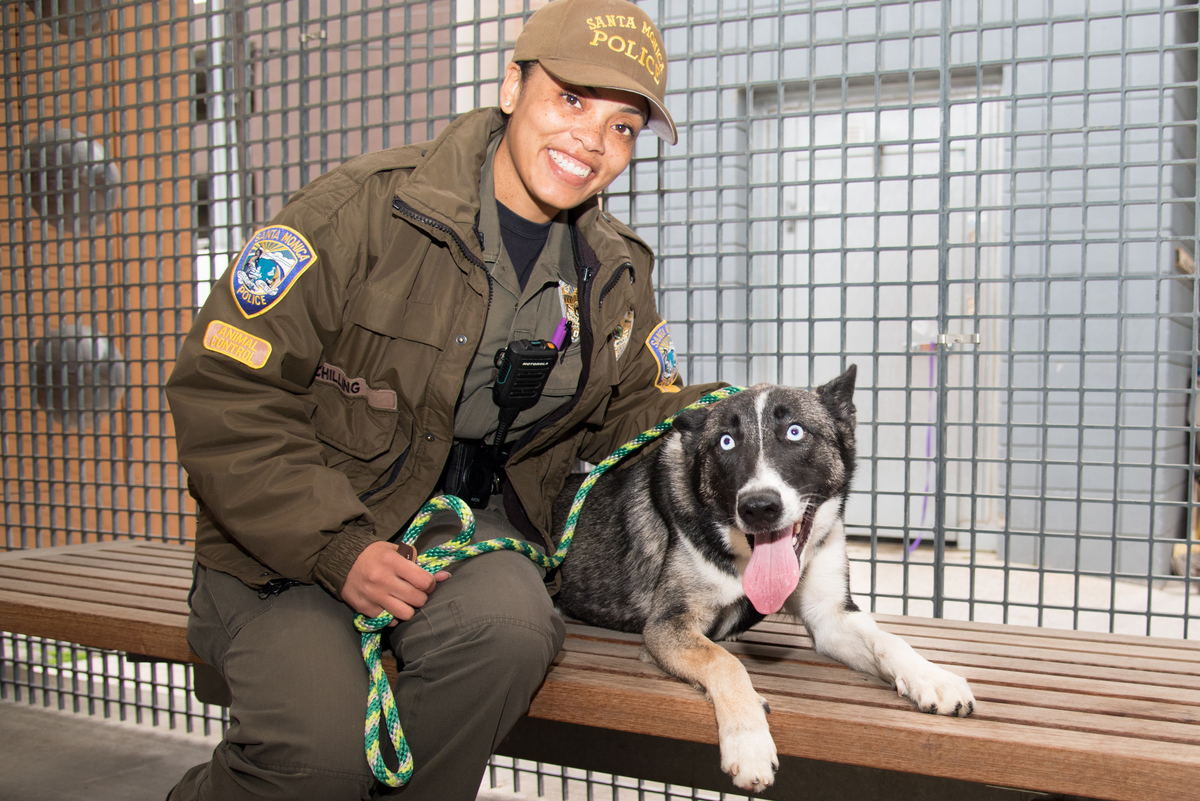 Santa Monica Animal Shelter at full canine capacity, adoption fees waived