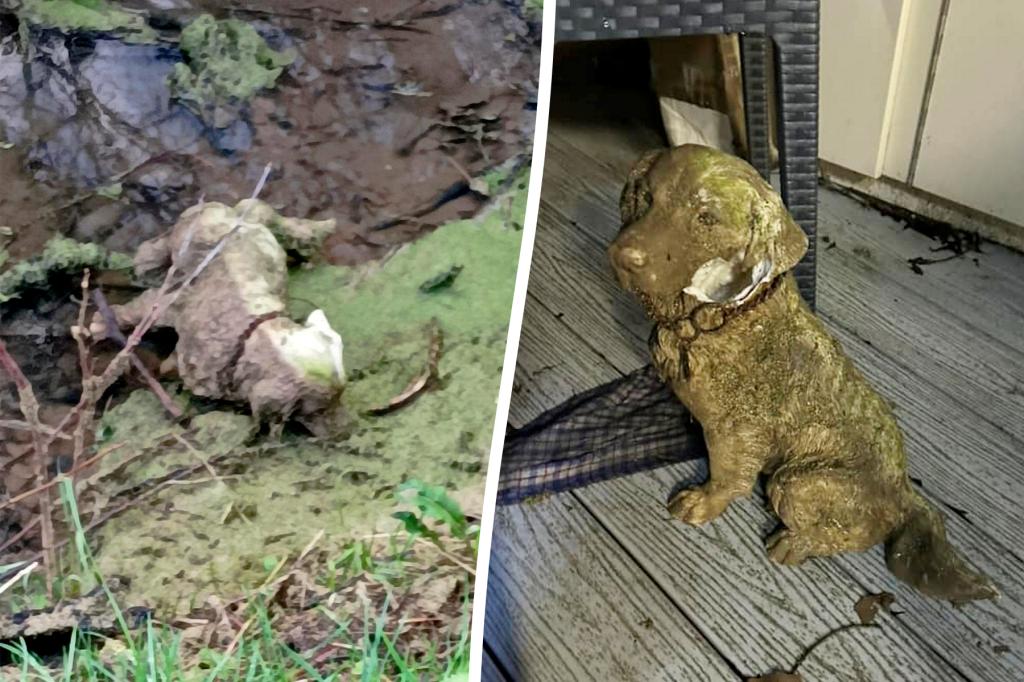 Animal rescue experts mistake statue for stricken dog
