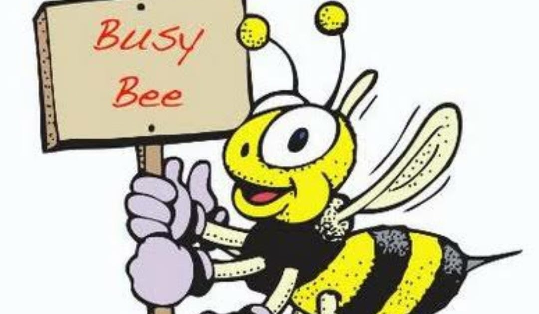 PVAS Busy Bee 24 March 2024