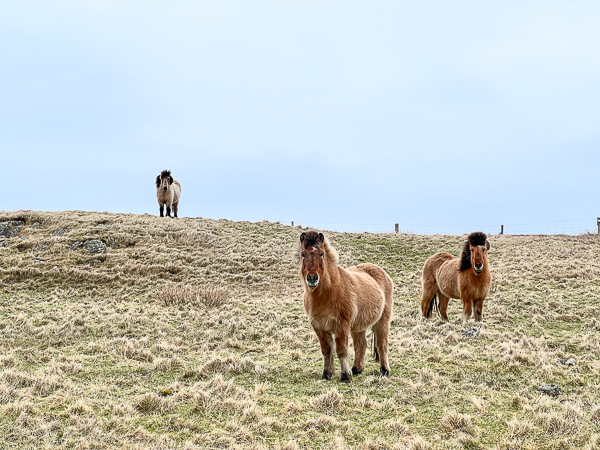 Up and Down Hill | My Shetland