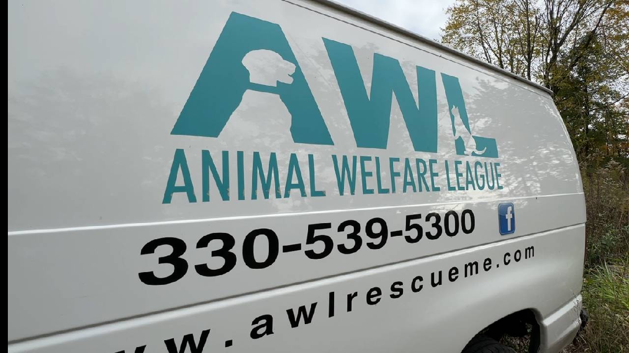 Animal Welfare League in Trumbull County, Ohio hosting open house volunteer orientation
