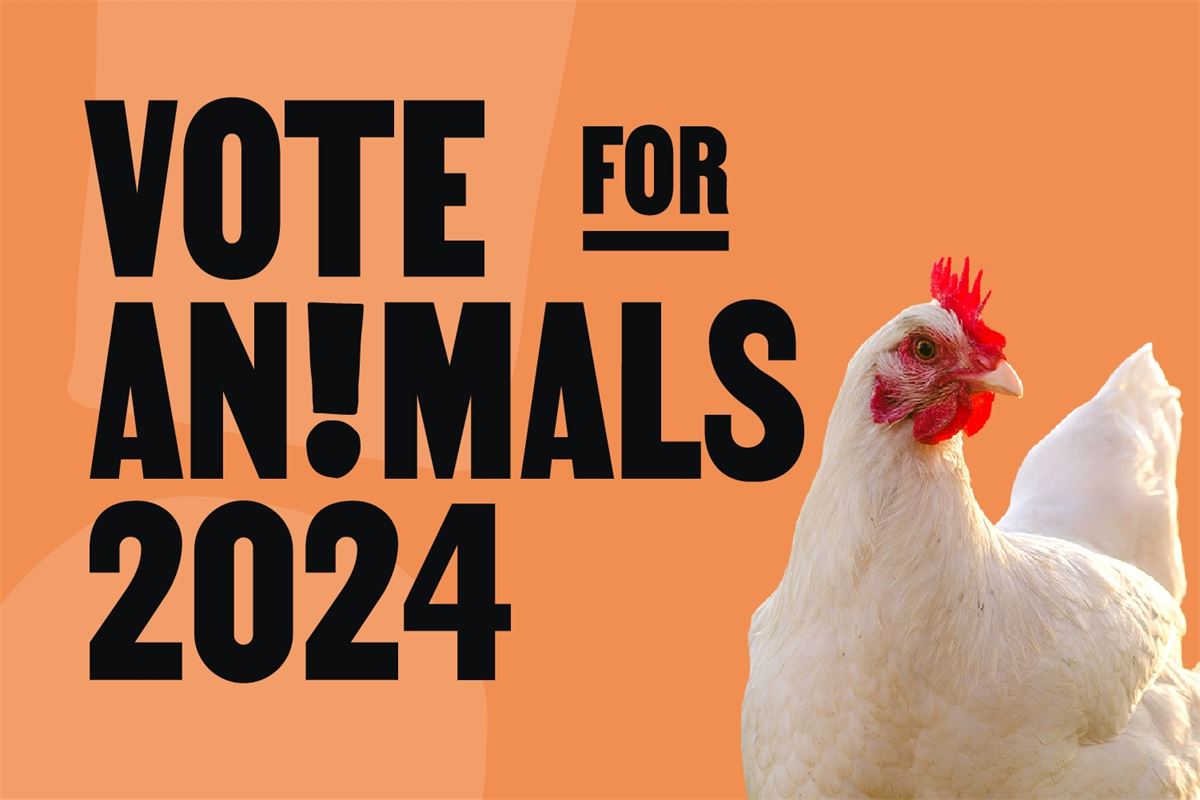 Eurogroup for Animals says that it is time to stand up for animals at the 2024 European Elections