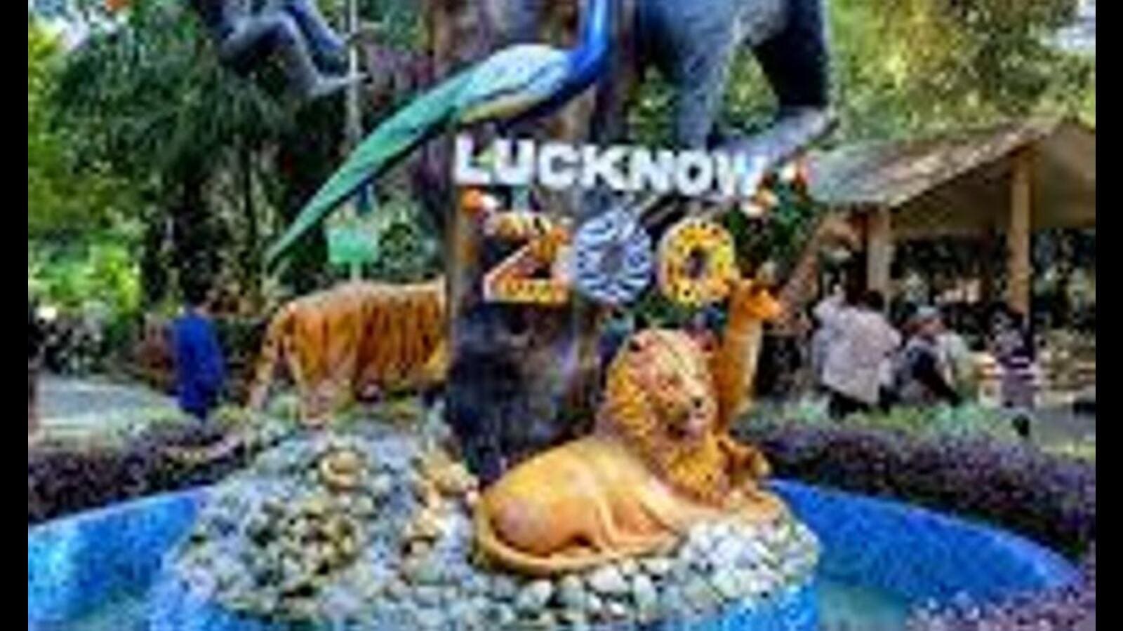 Lucknow zoo:Rock pythons, crocodile, deer among 43 adopted by animal lovers