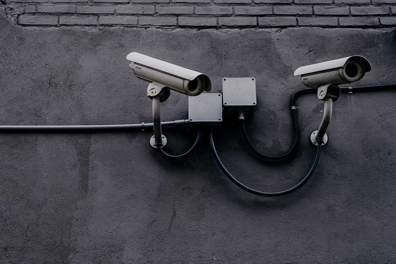 Mandatory CCTV is a ‘big step forward’ for animal welfare -BVA