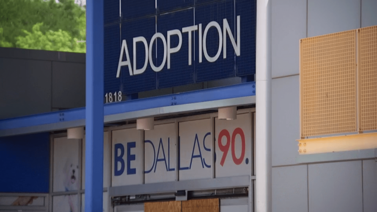 Dallas animal shelter needs vacancies, offers $150 gift cards for large dog adoptions – NBC 5 Dallas-Fort Worth