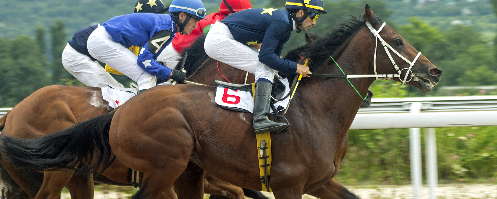 In a win for animals, U.S. Supreme Court leaves Horseracing Integrity and Safety Act intact