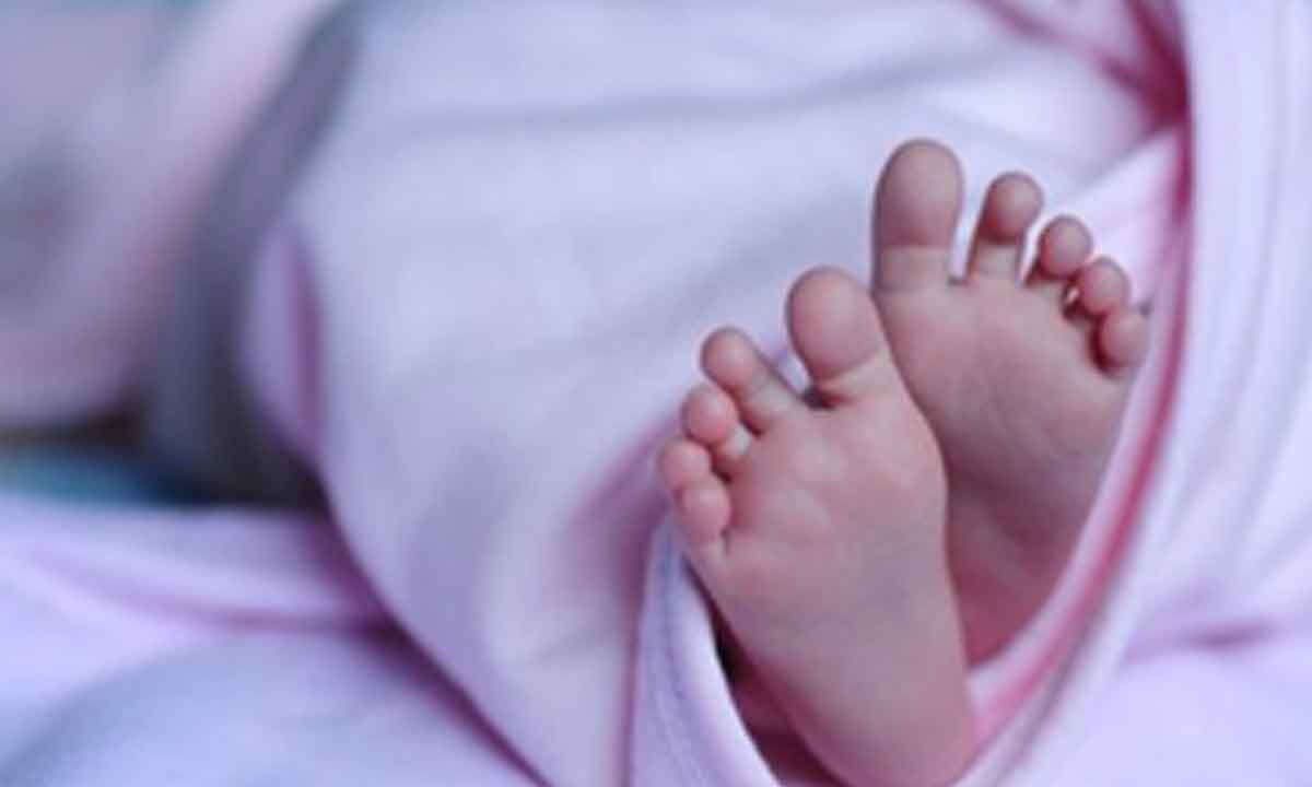 Limbs of newborn bitten by animal found in Goa