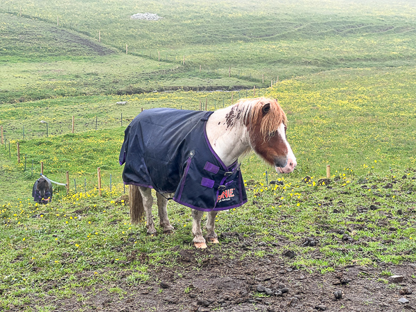 Up the Hill | My Shetland